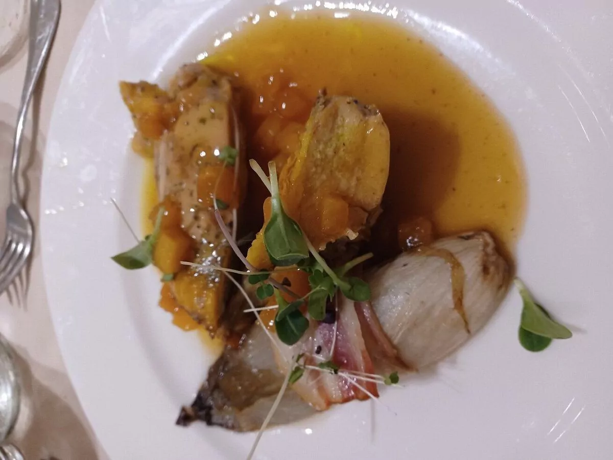 Piatto di pollo con verdure e salsa.