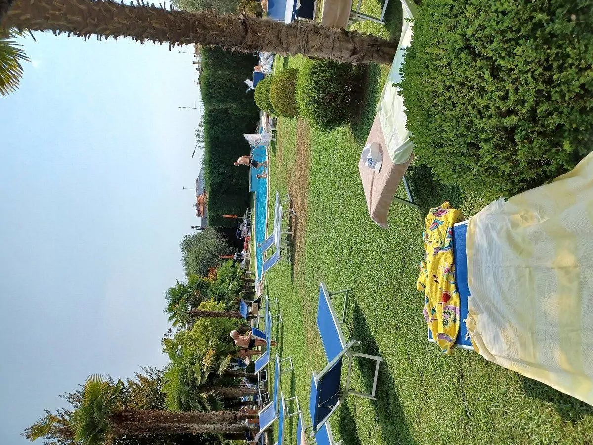 Giardino soleggiato con piscina e sdraio.